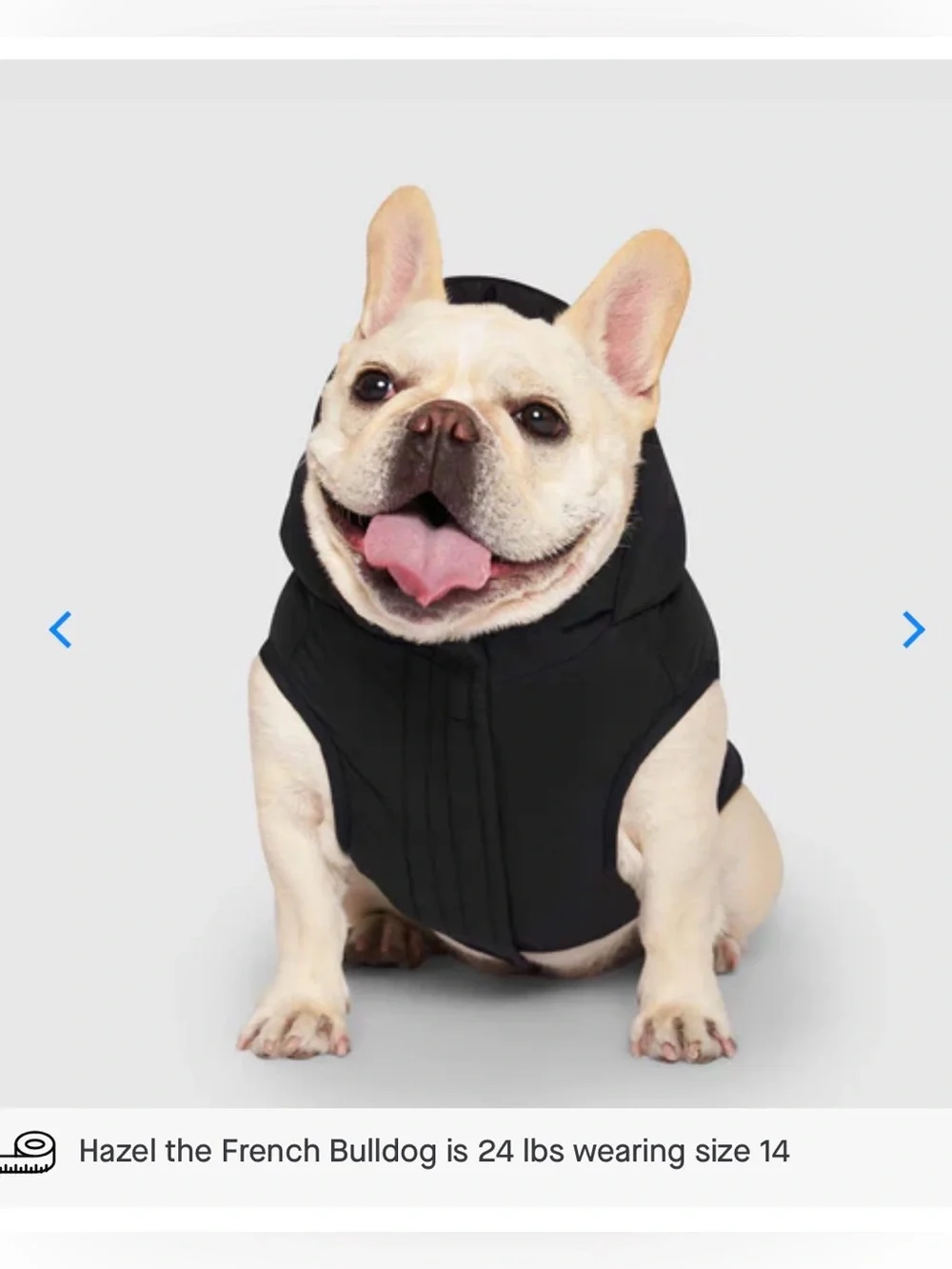NWOT Canada Pooch Black Waterproof Puffer Size 14+
